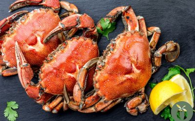 Come cucinare il granchio blu con l’olio EVO