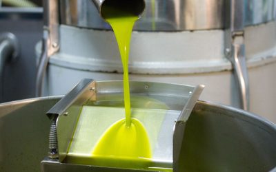 Molitura delle olive, classica o innovativa?